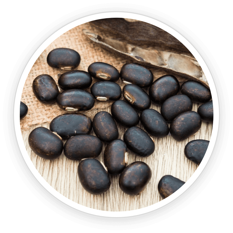 maca-root